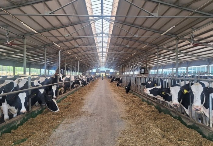 Молочная ферма в Нижегородской области, Россия (Фото: пресс-служба правительства Нижегородской области)