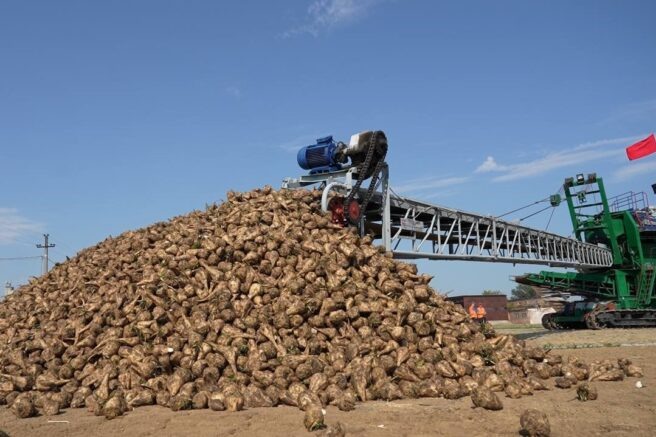    Фото: admkrai.krasnodar.ru