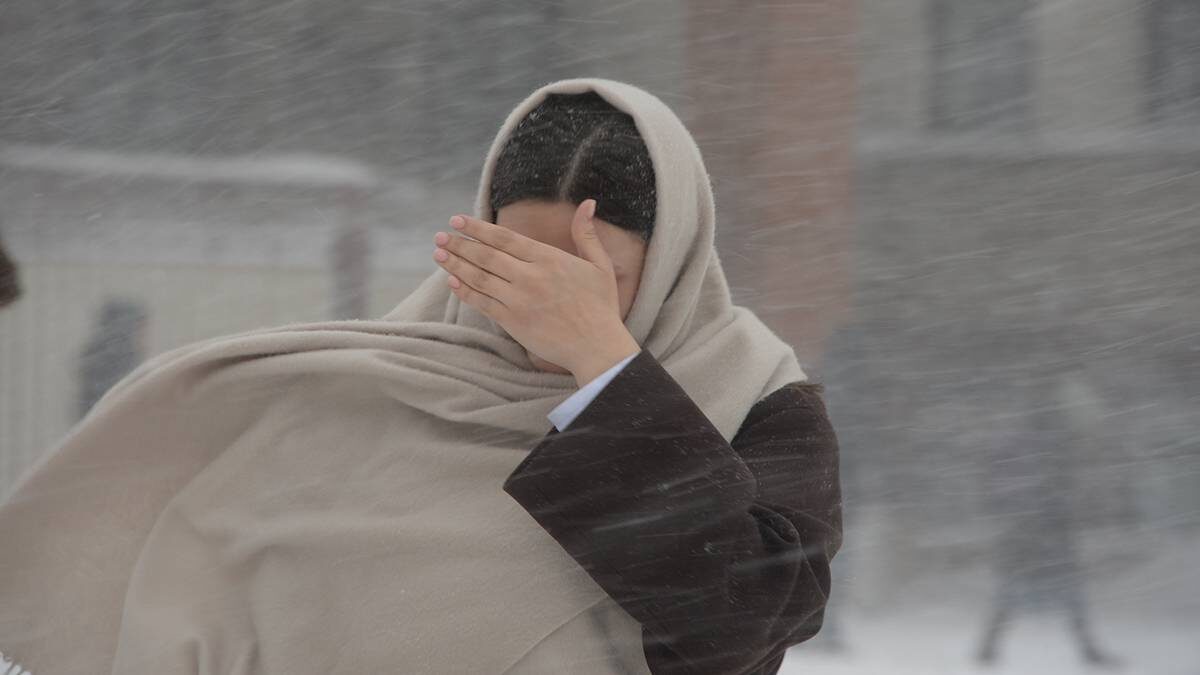    Фото: Пелагия Замятина / Вечерняя Москва