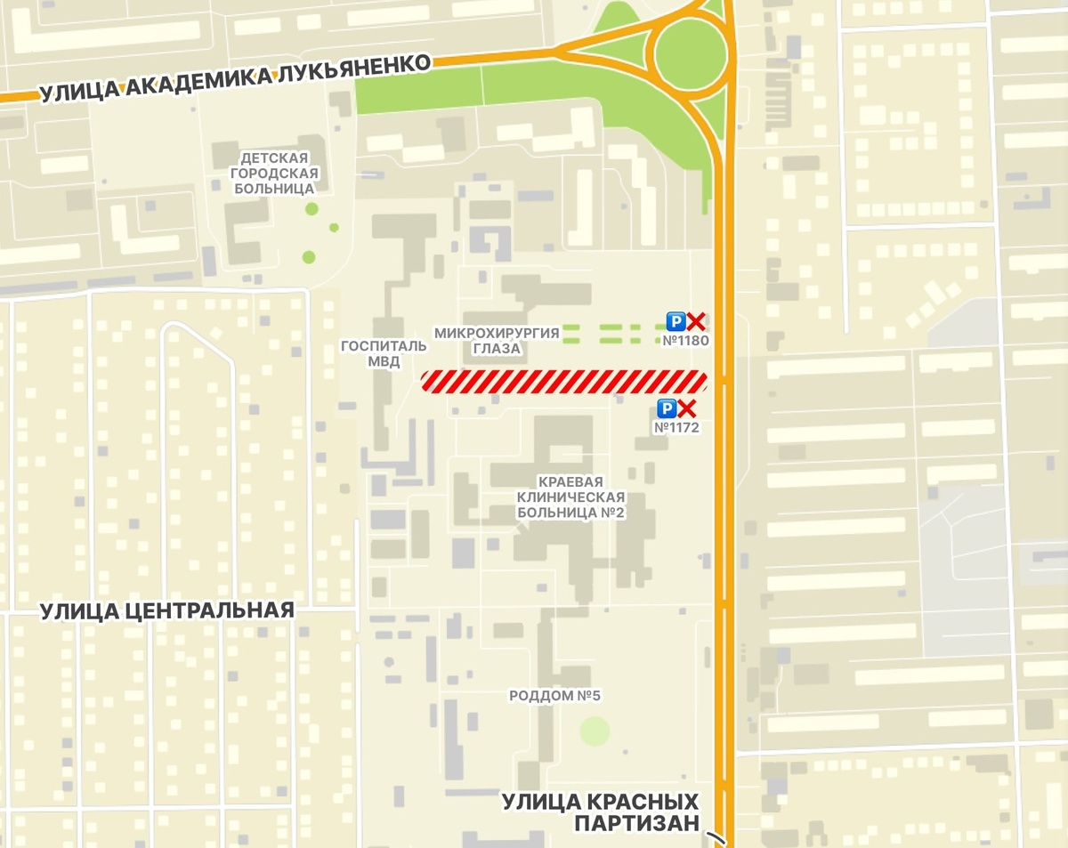    Фото: администрация Краснодара