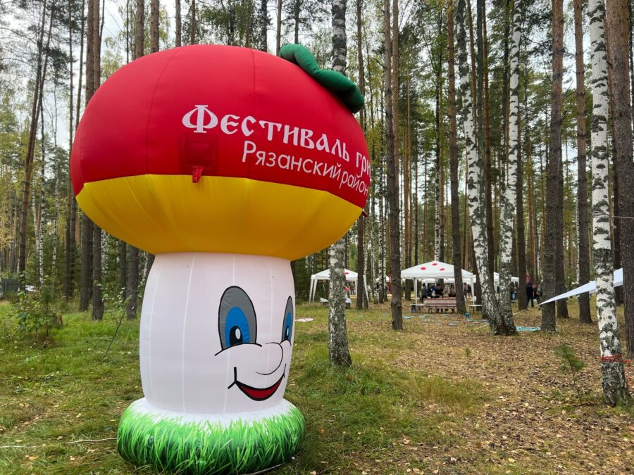 Фото: телеграм-канал Рязанский район