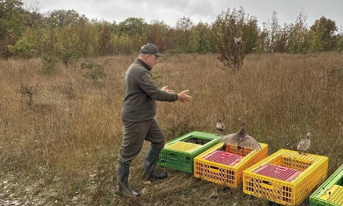    Фото t.me/mpr_kk