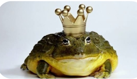 Из интернета