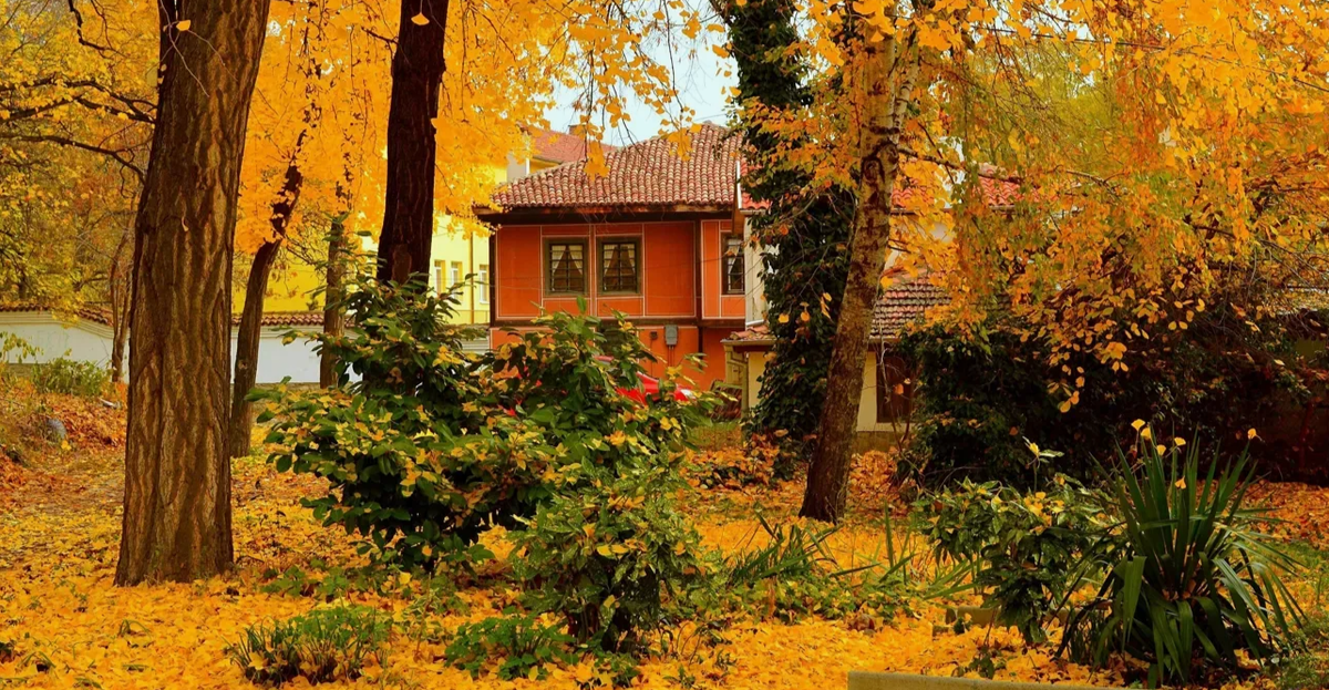 осень в саду