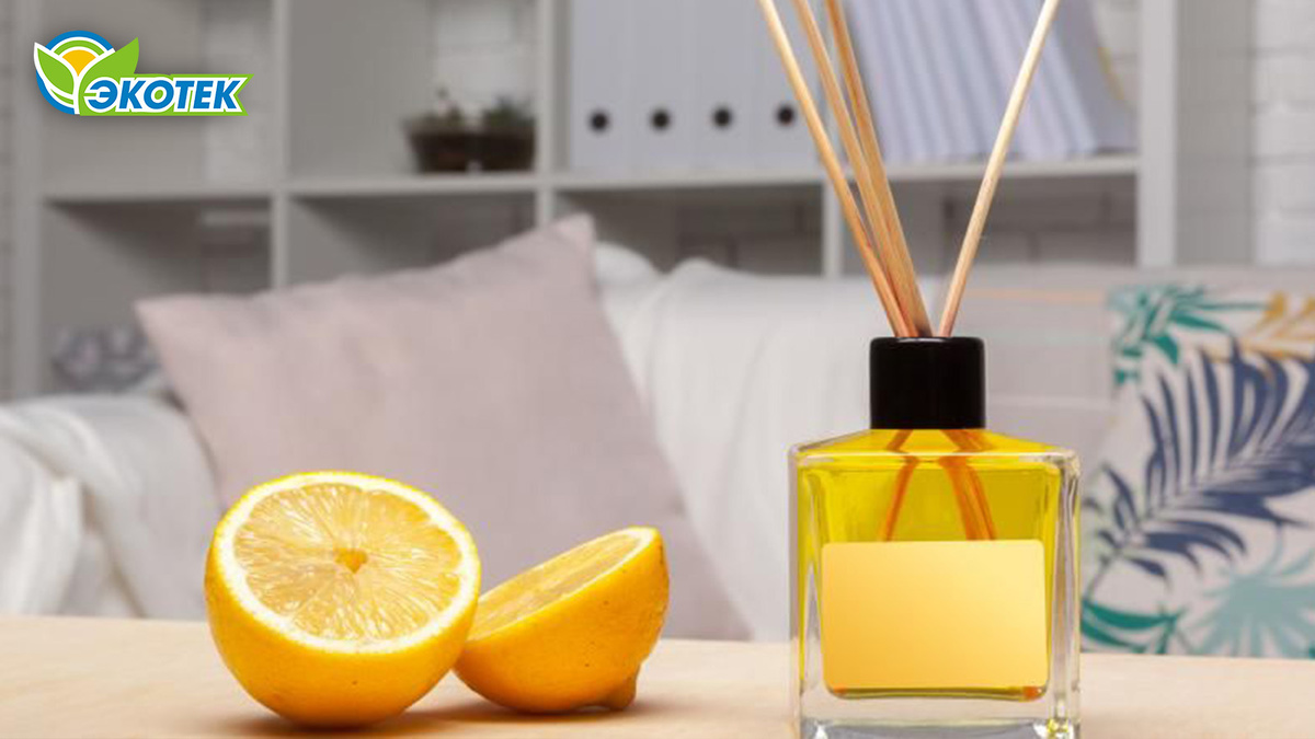 Самые безопасные ароматизаторы воздуха: используем натуральные компоненты. Экотек