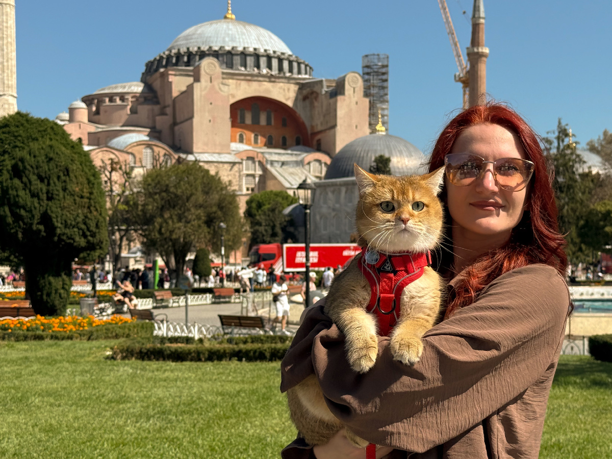 Выходили на прогулку каждый день с таким видом 