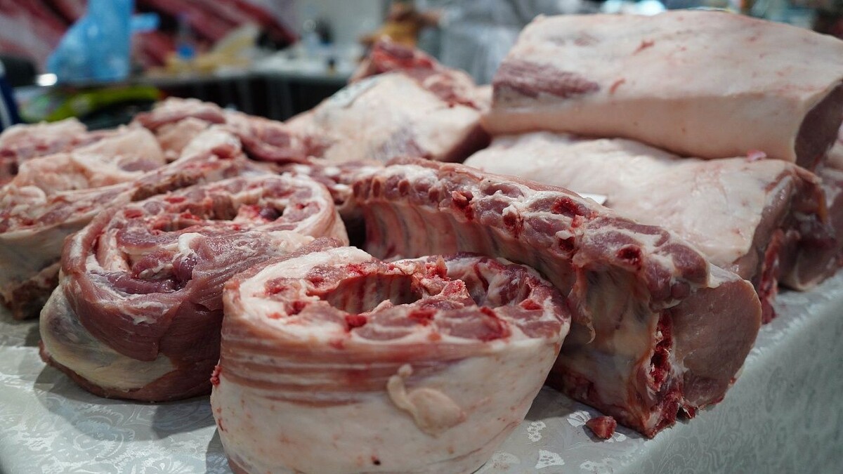    Фото: телеканал «Краснодар»