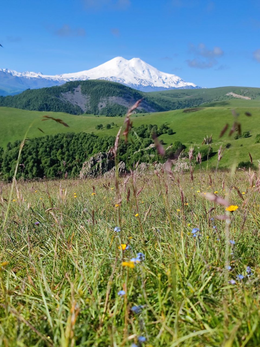 Эльбрус со стороны Джилы-су. Фото автора.