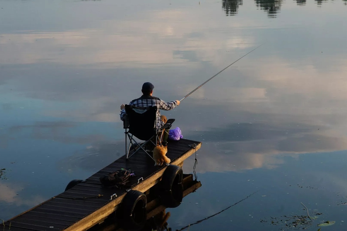    Фото: Юлий Ахромеев, источник РИА Новости
