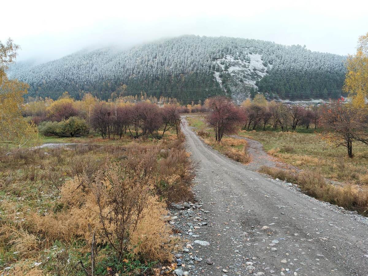 Горный Алтай. Октябрь. 