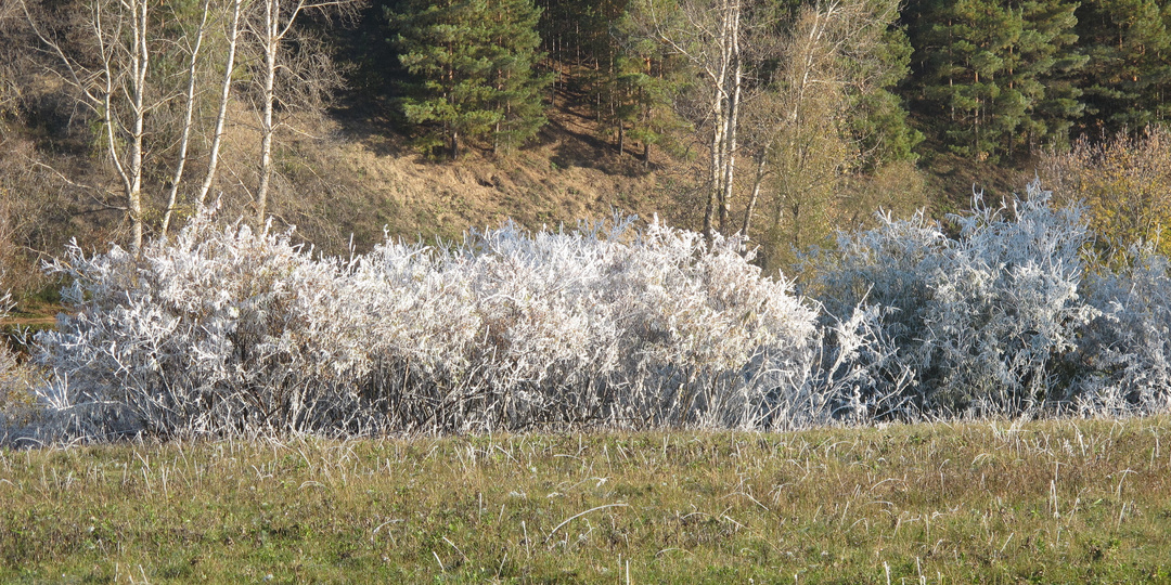 Экскурс в детство с элементами "политэкономии"