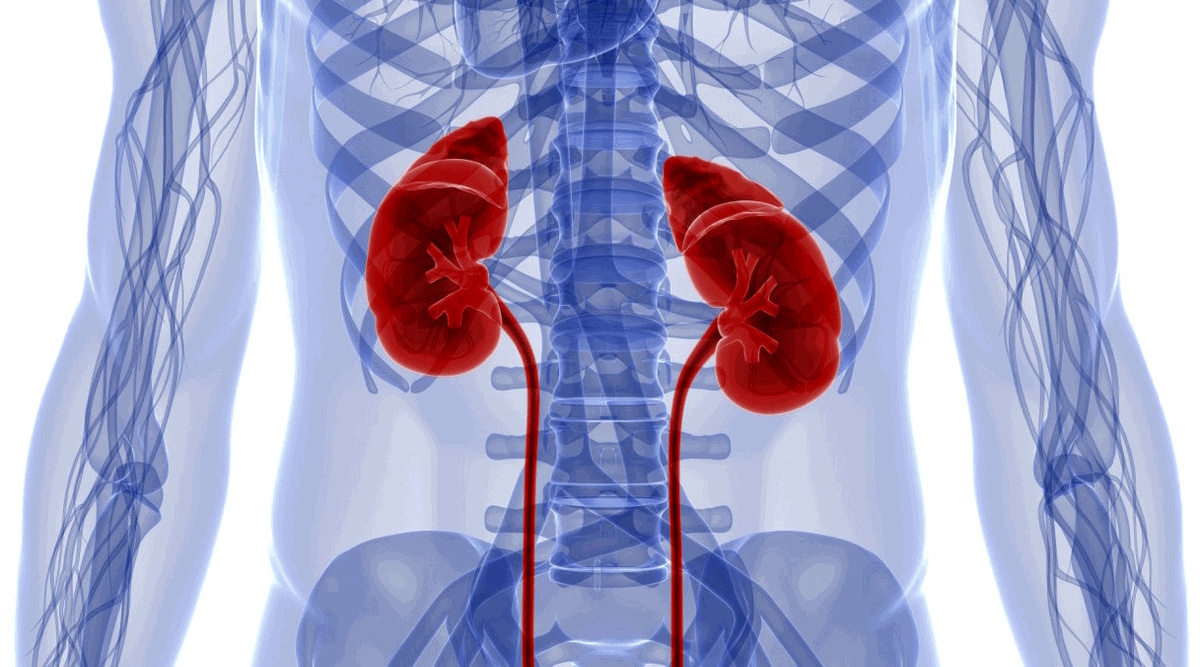 Узнайте, как современные технологии помогают в борьбе с ХБП. ИИ в «ДокторЧат» анализирует ваши данные и дает первичные пояснения, чтобы вы были вооружены знаниями до визита к нефрологу.