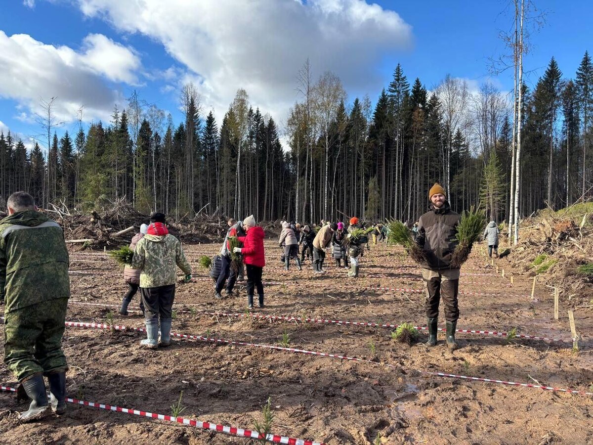    © Министерство природных ресурсов, лесного хозяйства и экологии Пермского края