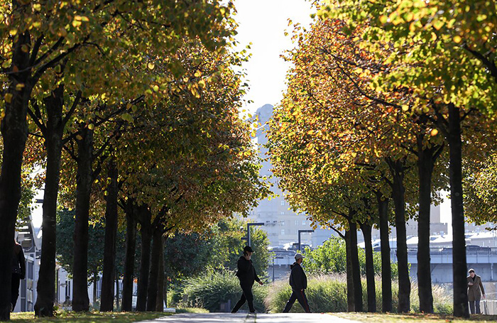    Дмитрий Белицкий/АГН «Москва»