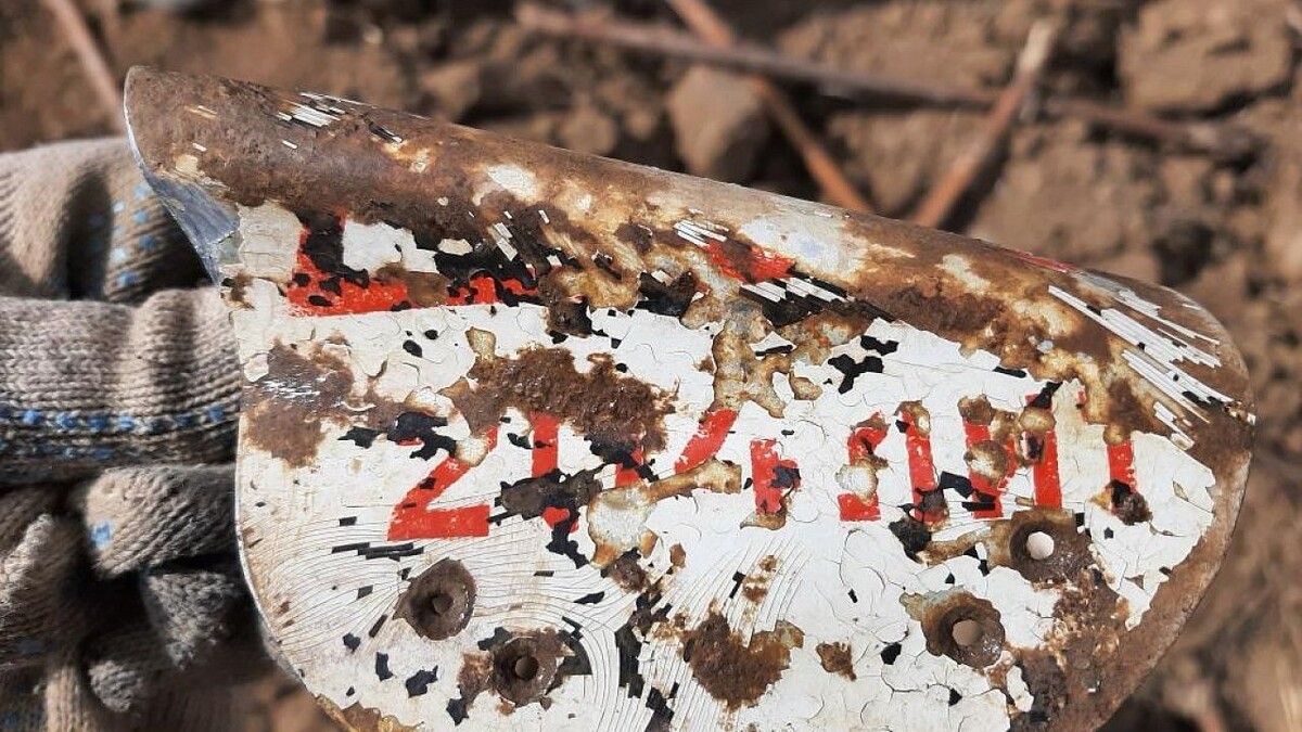    Фото: t.me/Rosprirodnadzor_official