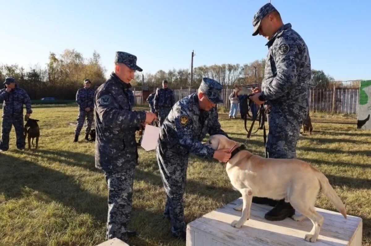    На Южном Урале прошли соревнования по многоборью со служебными собаками