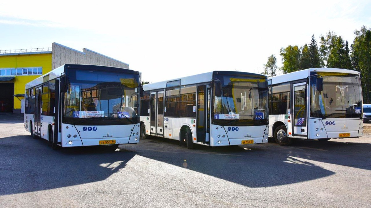    Автобусы для всех: в Югре запускают масштабное обновление общественного транспорта
