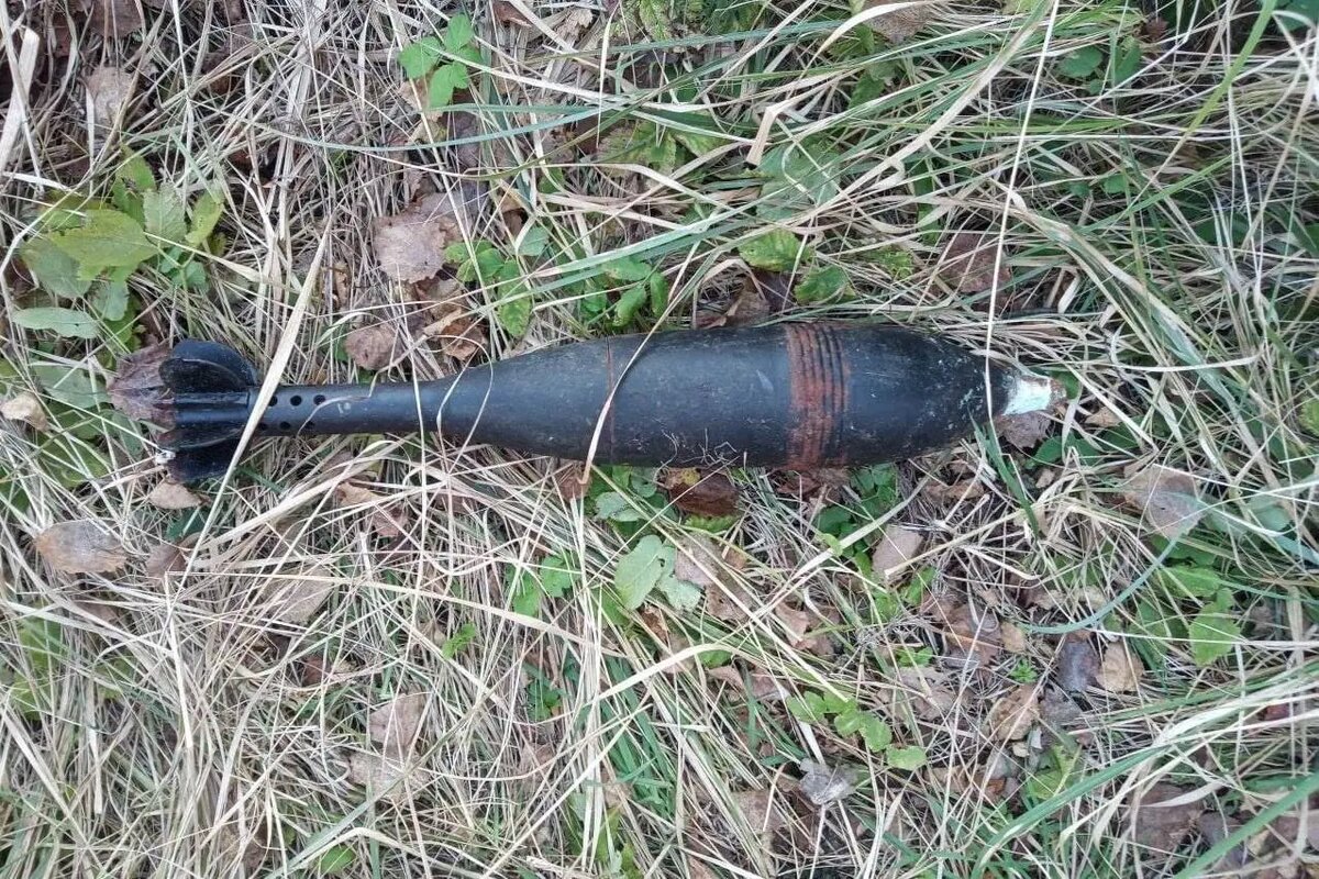    Фото: пресс-служба ГУ Росгвардии по Петербургу и Ленобласти