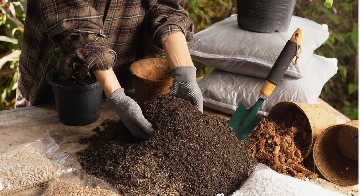 Как обеззаразить грунт перед посадкой комнатных растений