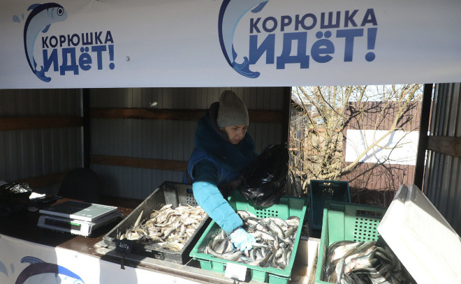    © Александр Глуз / «Петербургский дневник»