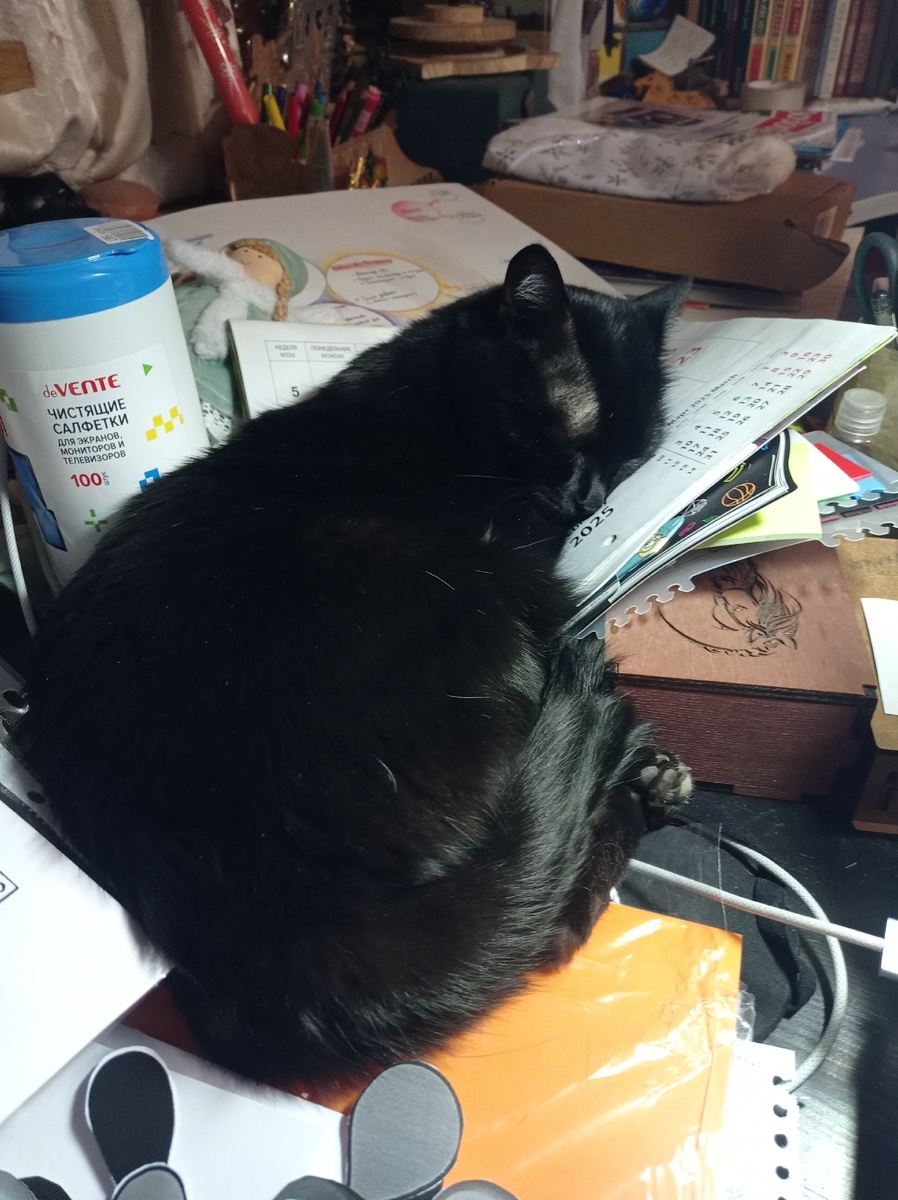 Так слушает Маслина...