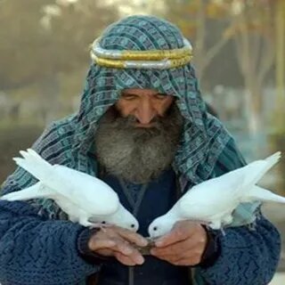 В хадисе Пророка Мухаммада (с.а.с.) говорится: «Не является обманщиком тот, кто обманул, примиряя двоих, и сказал добрые слова…»