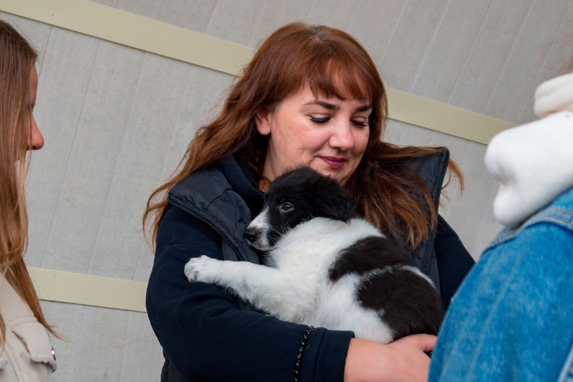     фото: ЛРООЗЖ «ТЕРРИТОРИЯ СПАСЕНИЯ» Липецк