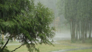    krd.ru Юлия Виноградова