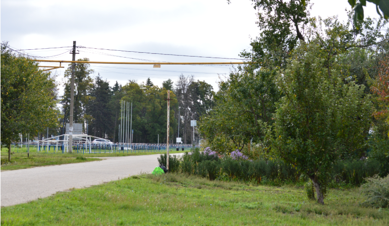 Фото автора. 01.10.2025. Станица. Второй месяц календарной осени.