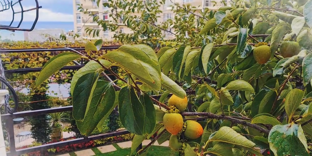 Как поехать в Дагестан, а попасть в Абхазию? Автопутешествие осенью (часть 1)