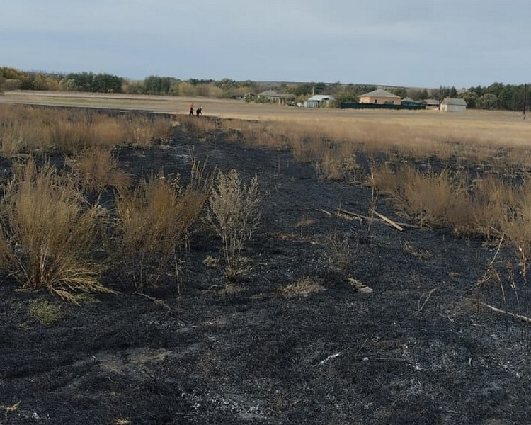     В Курской области добровольная пожарная дружина оперативно потушила возгорание