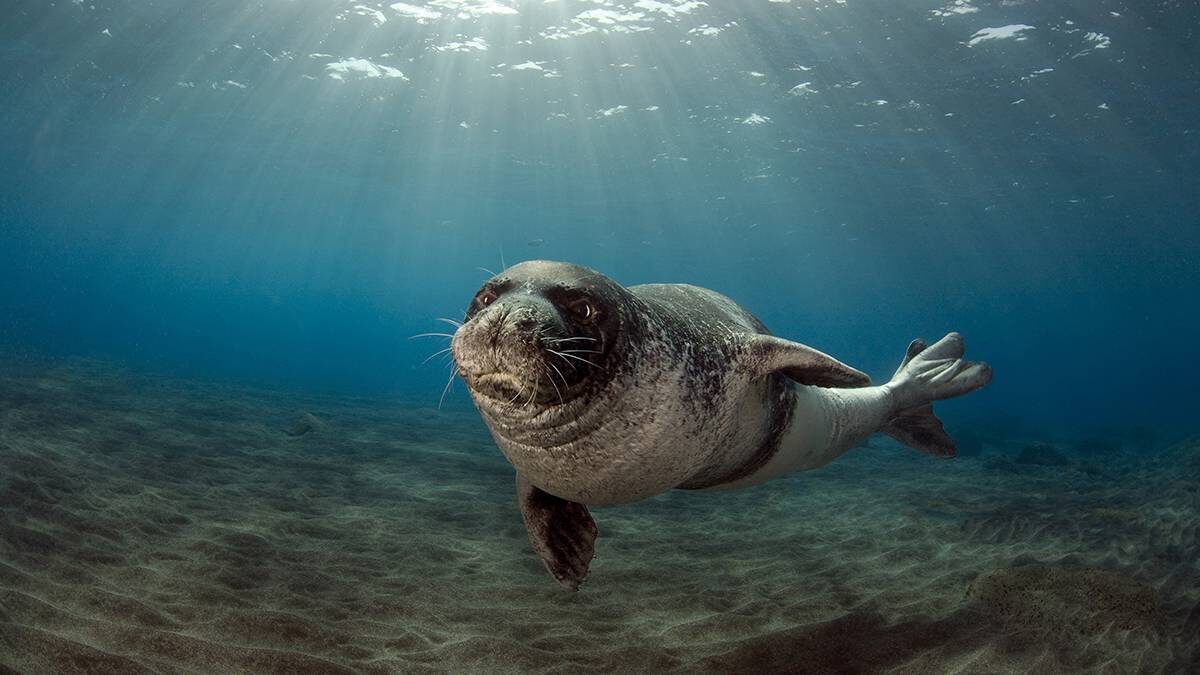    Фото: shutterstock