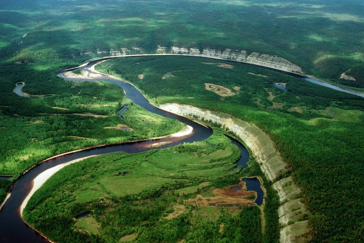    Фото: Анатолий Фаламов, источник: ria.ru