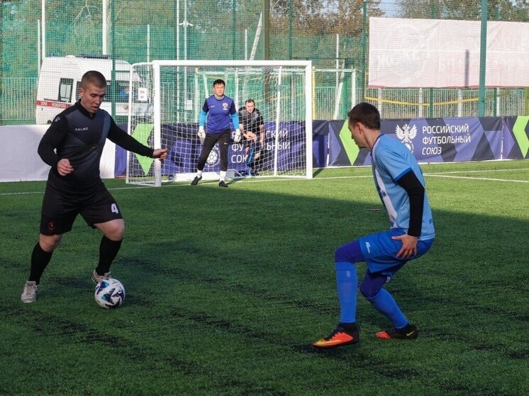     Фото: телеграм-канал администрации Выборгского района.