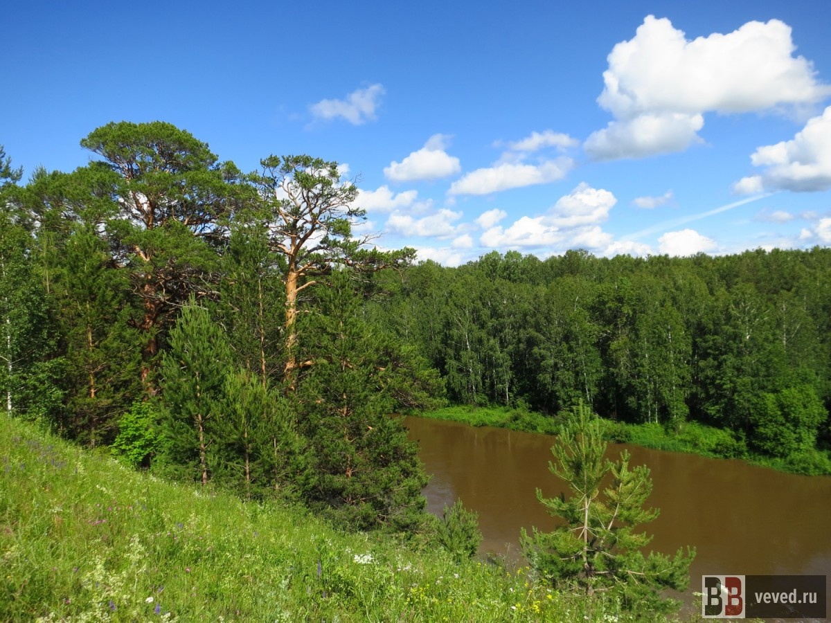     Фото: Владислав Постников / Вечерние Ведомости