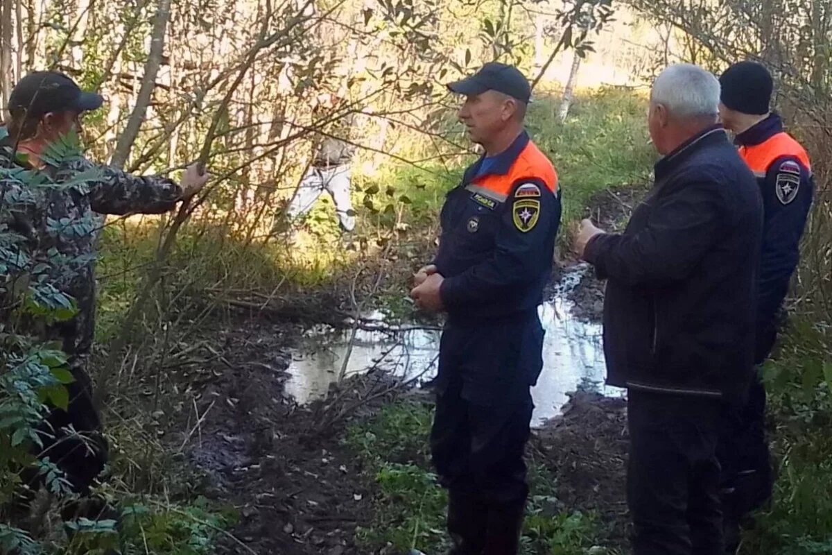    В Псковской области дружинники помогли найти потерявшегося в лесу мужчину