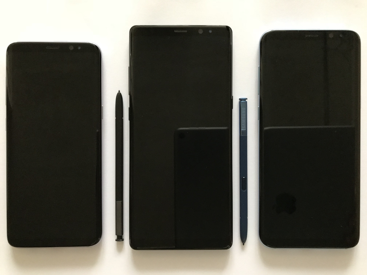 Авторство: 彭嘉傑. Собственная работа, CC BY-SA 4.0, https://commons.wikimedia.org/w/index.php?curid=67201126