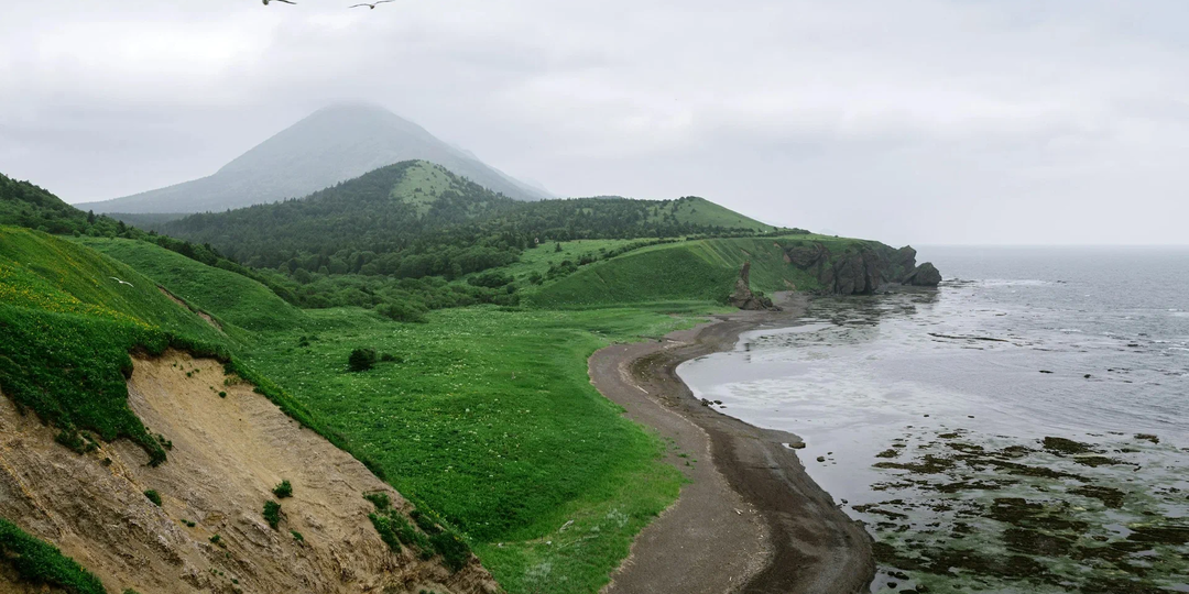 Жизнь на Сахалине с крабалкой, сивучами и живописными сопками
