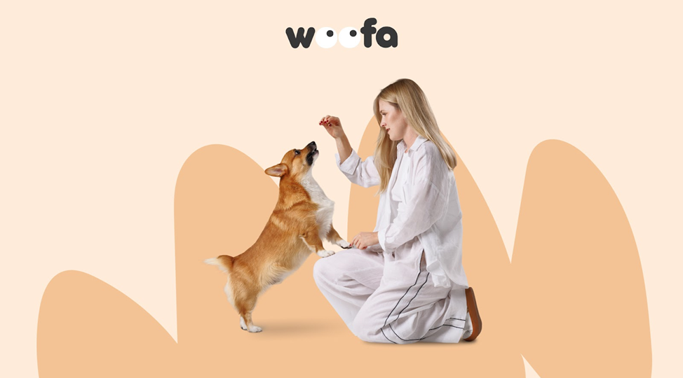 Как правильно давать лакомства собаке — гайд для любящих хозяев