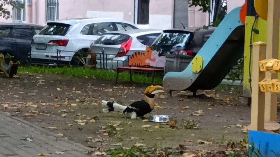     / Источник: © Пресс-служба Ленинградского зоопарка