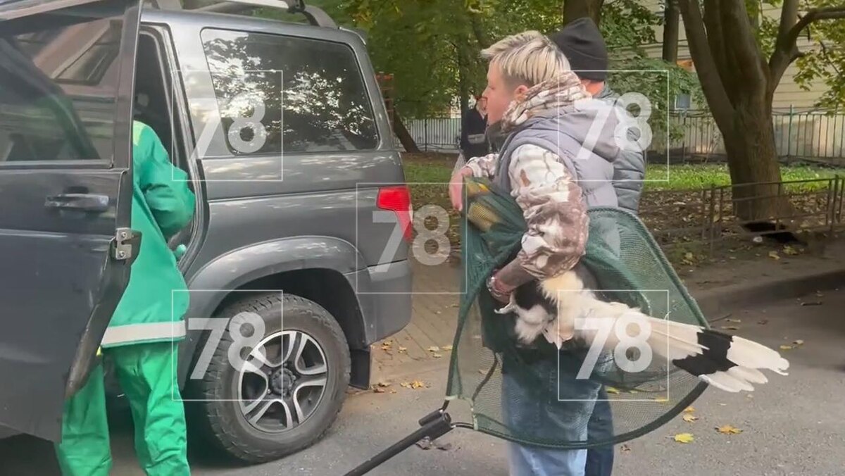    Фото: 78.ru