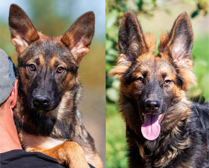 Ника (слева) и Марго