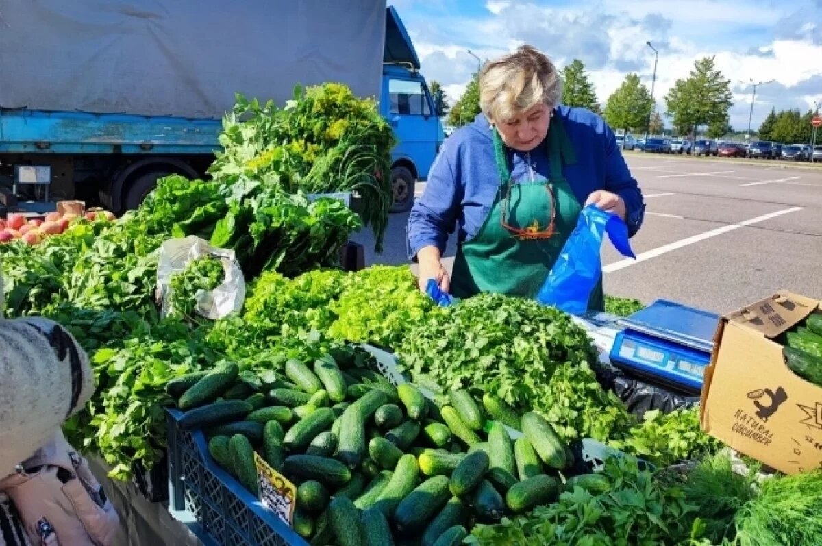    Уже завтра саратовцы смогут отправиться на ярмарку выходного дня