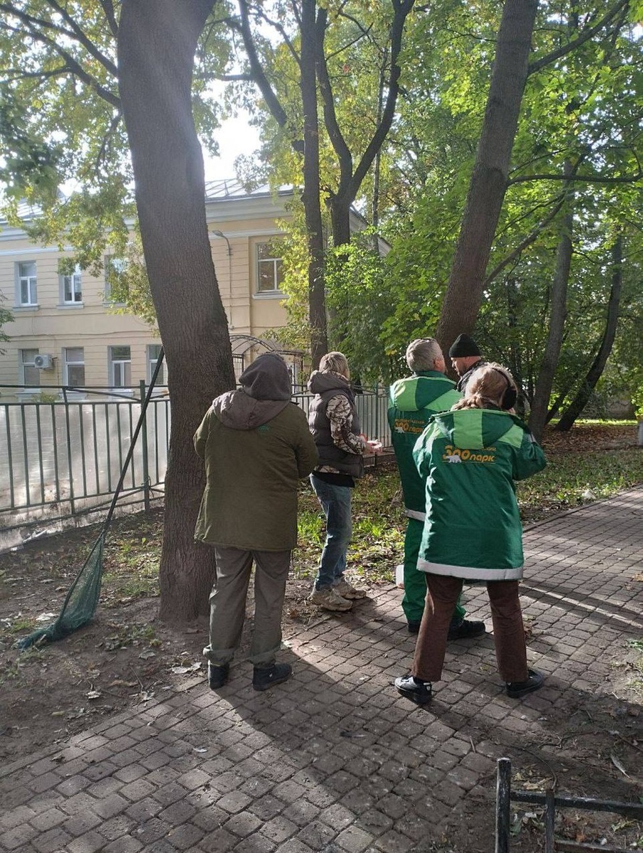    Фото: Salamandrina/соцсети