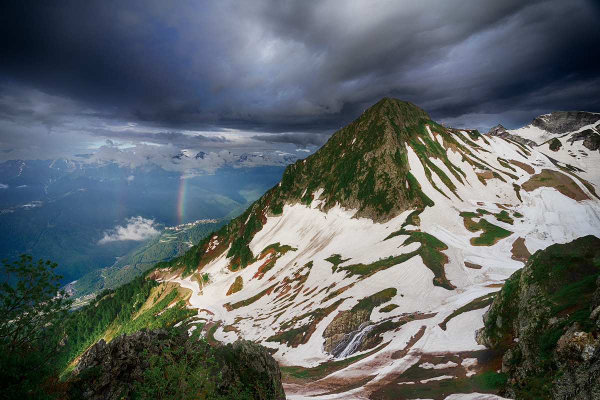 Фото: пресс-служба Сочинского национального парка  📷
