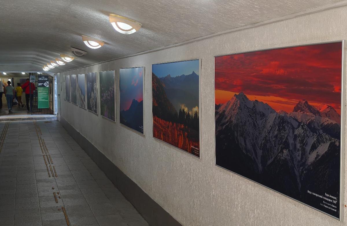 фото: npsochi.ru  📷
