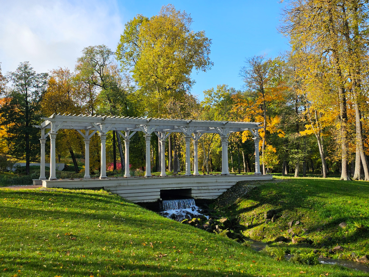 Фото: Вечерний Санкт-Петербург