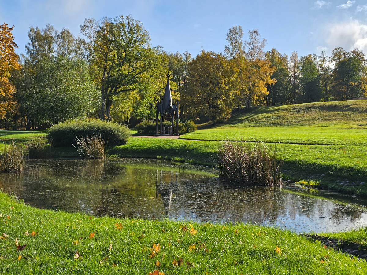 Фото: Вечерний Санкт-Петербург