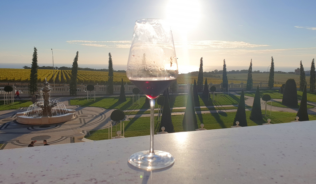 Вид на виноградники Шато де Талю