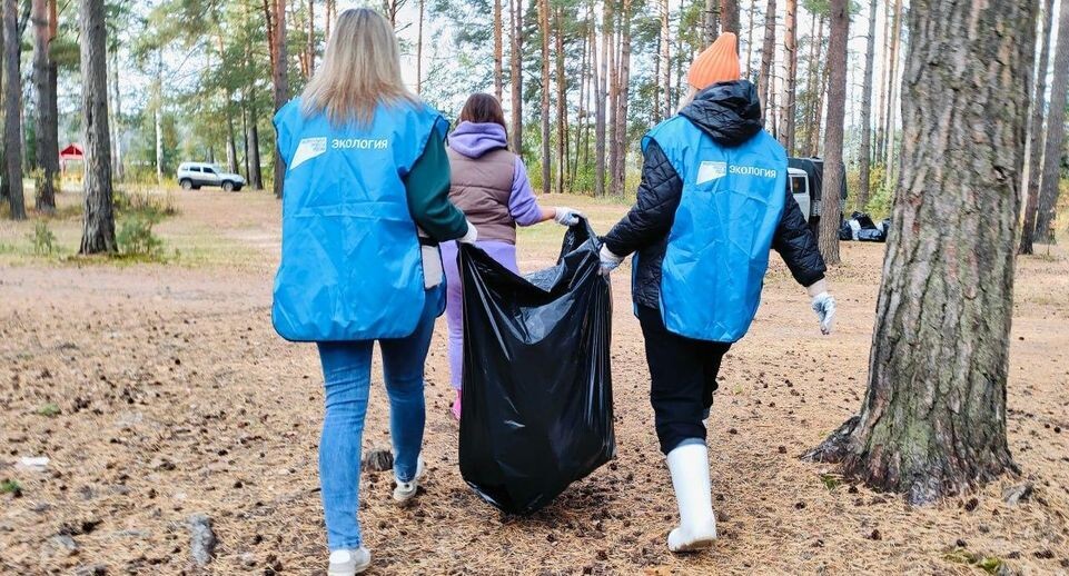    Комитет лесного хозяйства Московской области